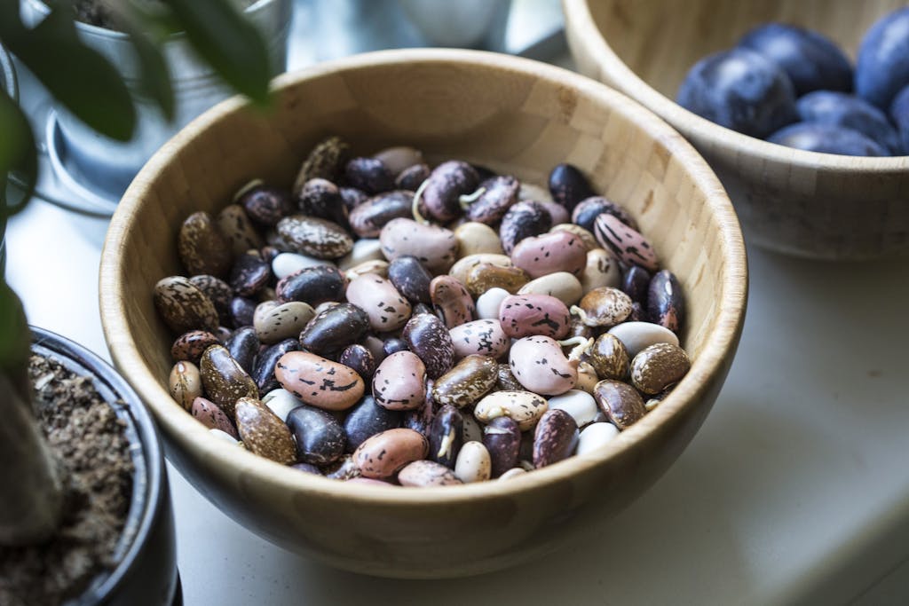 A Close-Up Shot of Mixed Beans in a Bowl